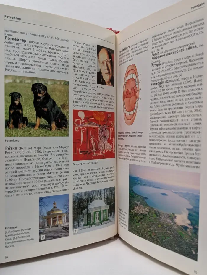 Большая иллюстрированная энциклопедия. Том 24. Рок—Свя
