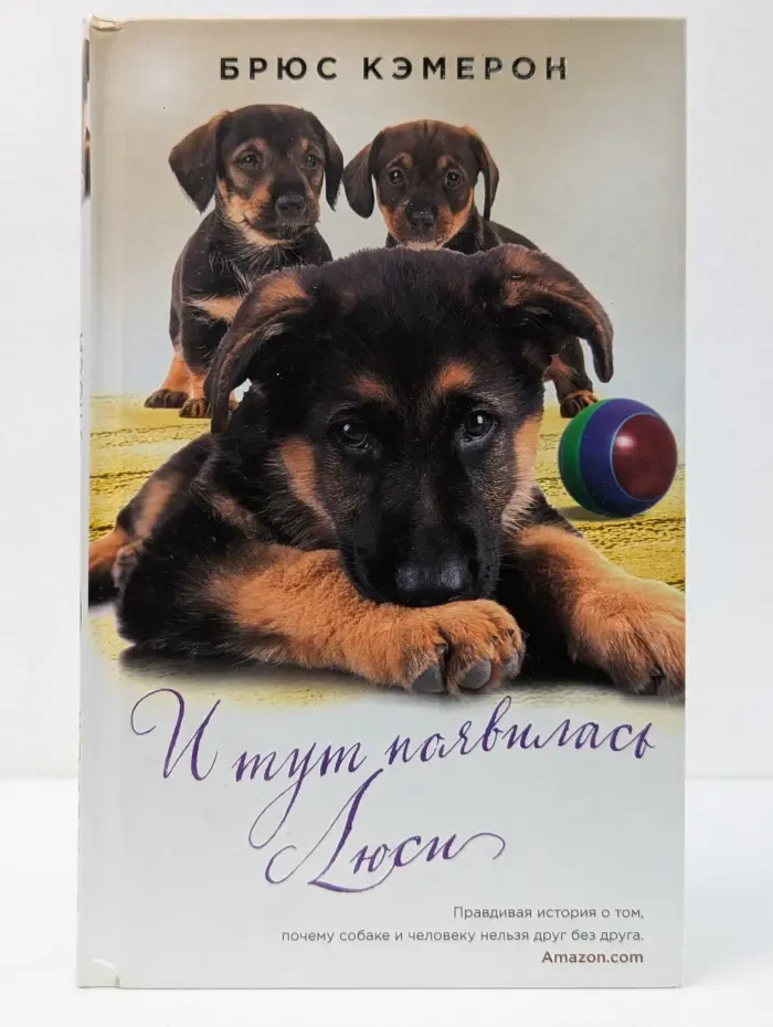 Тот, кто не предаст. Люди и их питомцы. И тут появилась Люси