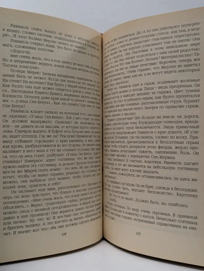 Современный французский детективный роман