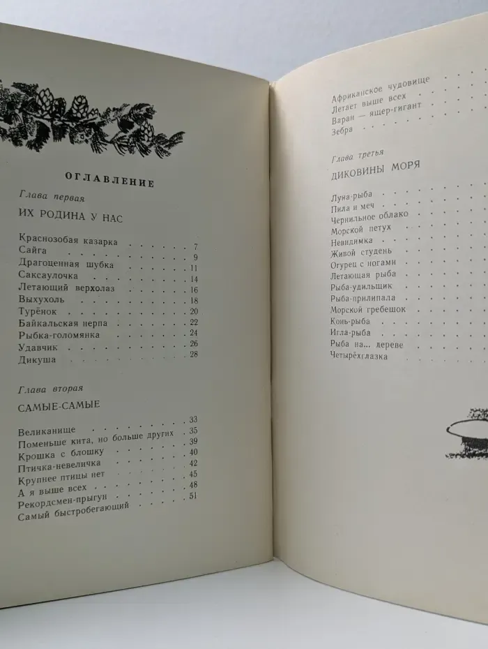 Диво-дивное