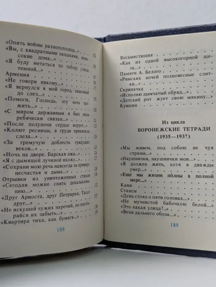 Библиотека поэта. Медленный день