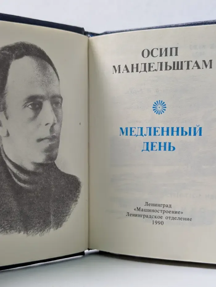 Библиотека поэта. Медленный день
