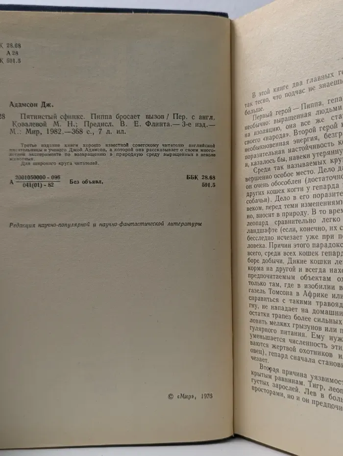 Пятнистый сфинкс. Пиппа бросает вызов