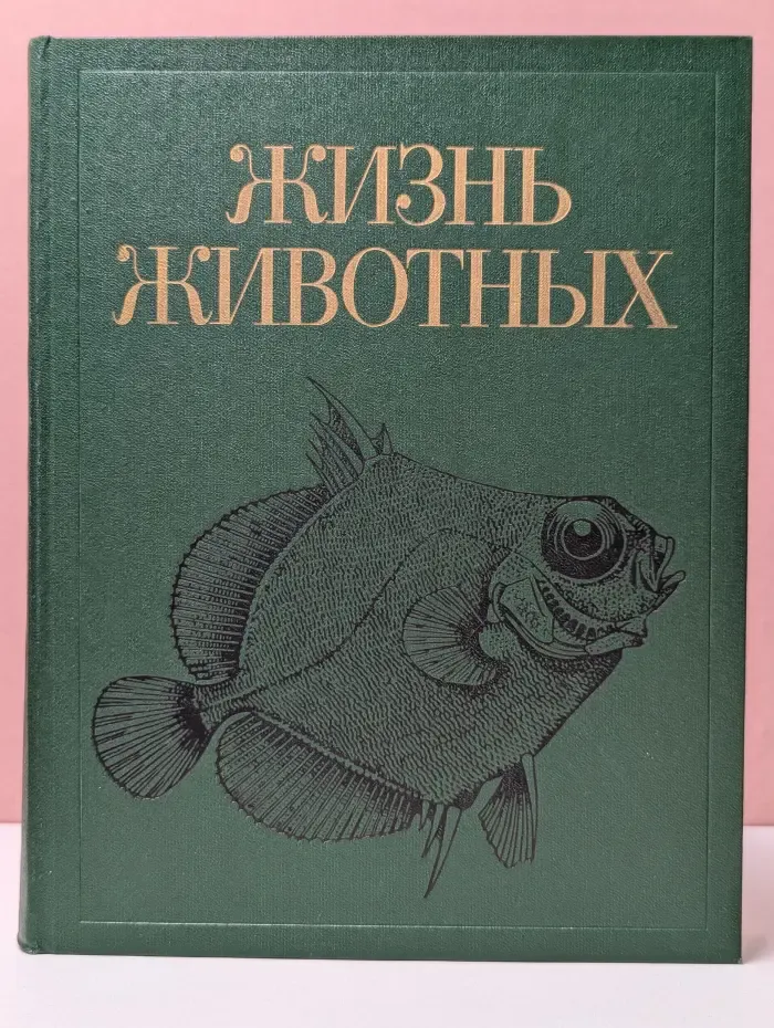 Жизнь животных. Том 4. Ланцетники, круглоротые, хрящевые рыбы, костные рыбы