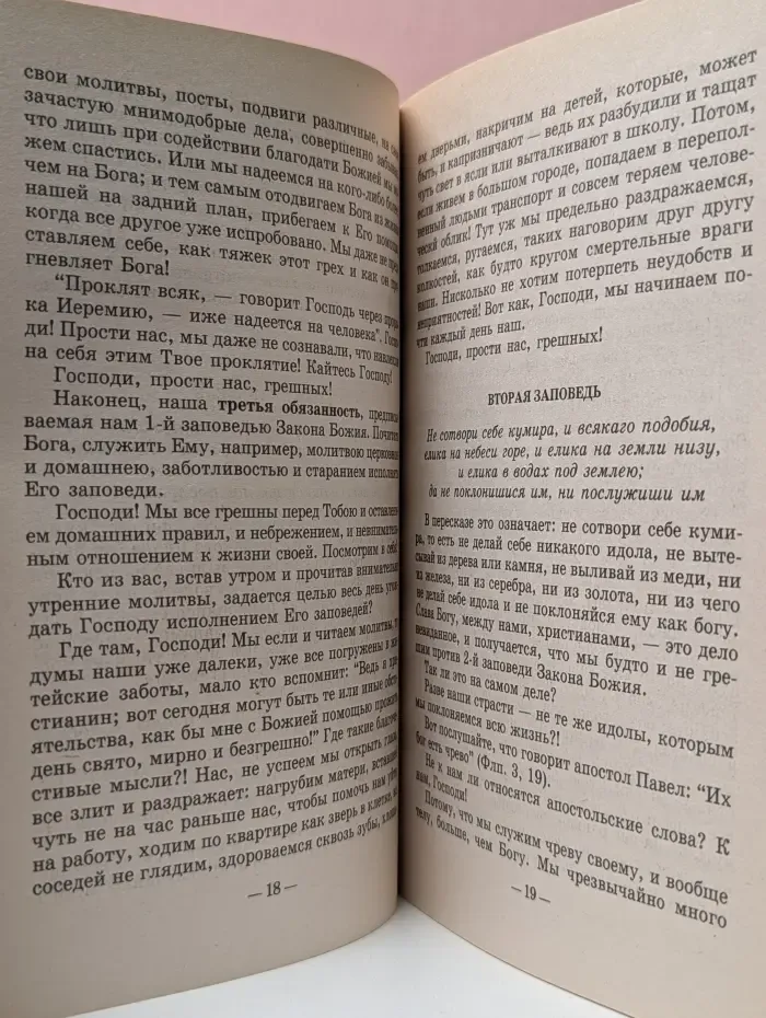 Опыт построения исповеди. Пастырские беседы о покаянии в дни Великого поста