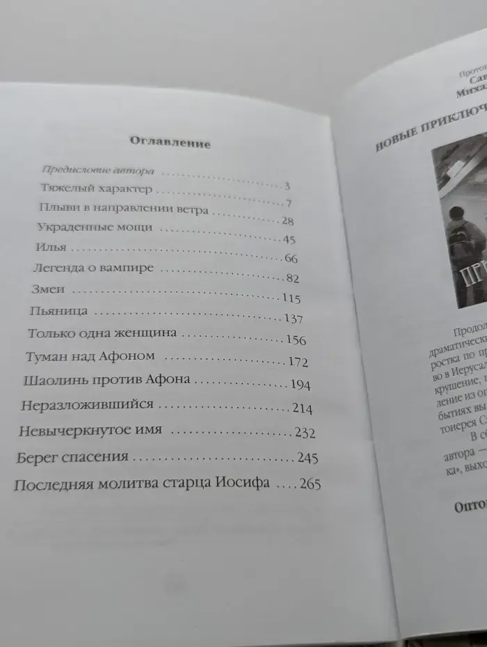 Украденные мощи. Афонские рассказы