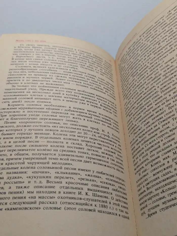 Жизнь птиц у нас дома