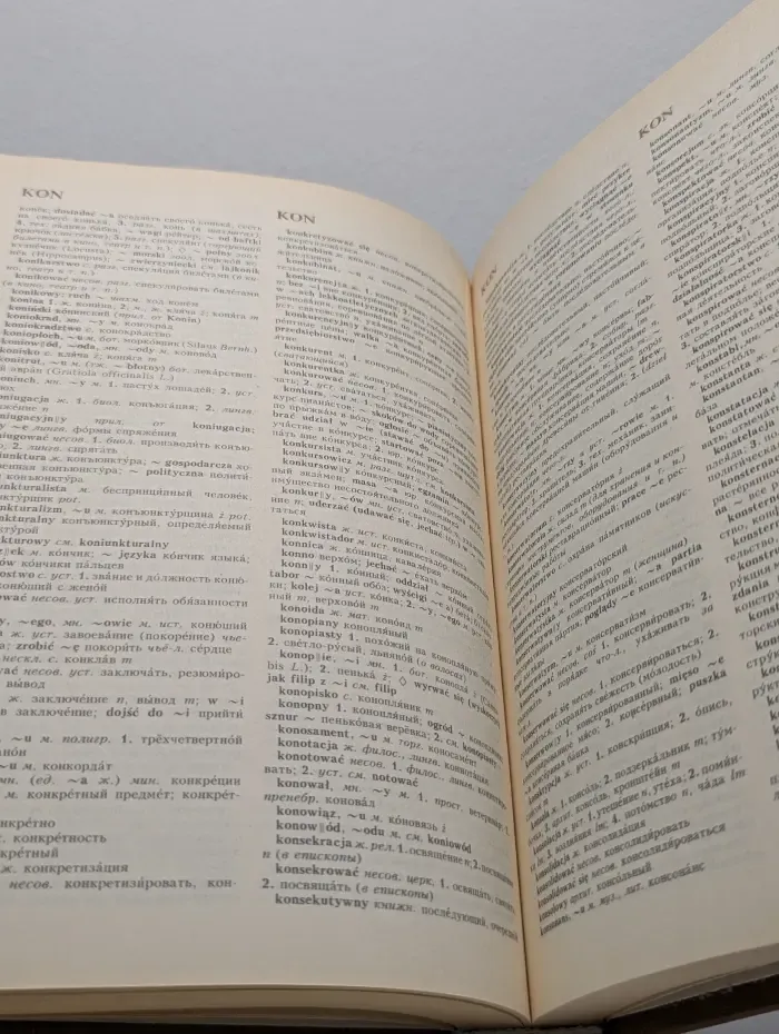 Большой польско-русский словарь