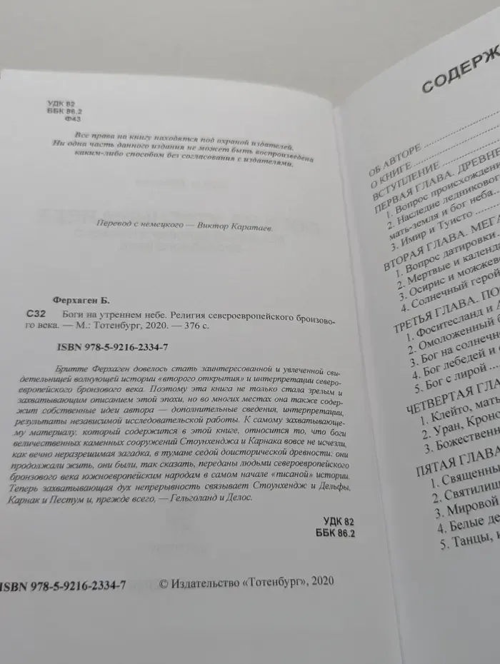 Боги на утреннем небе. Религия североевропейского бронзового века