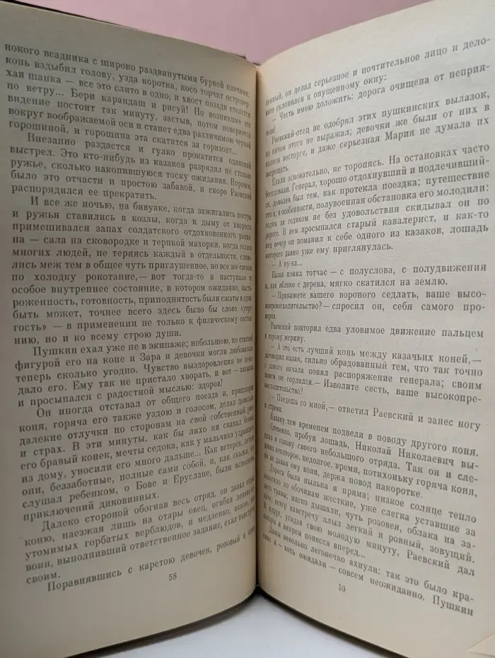 Отчий край. Пушкин в изгнании. Книга 1