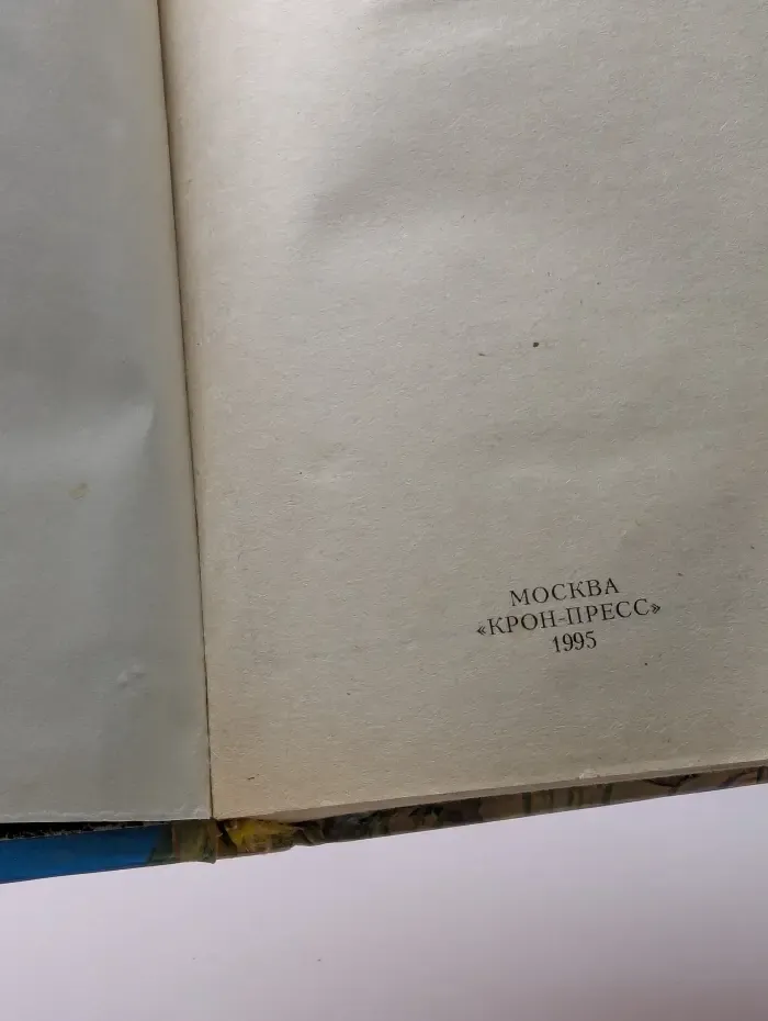 Мое сердце