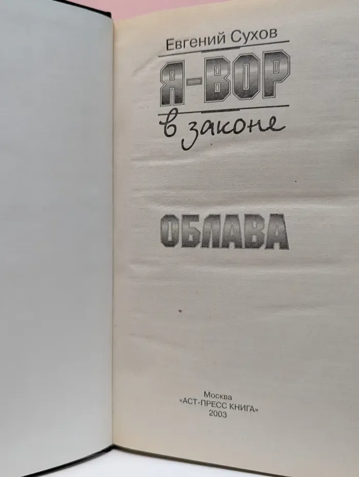 Я-вор в законе. Облава