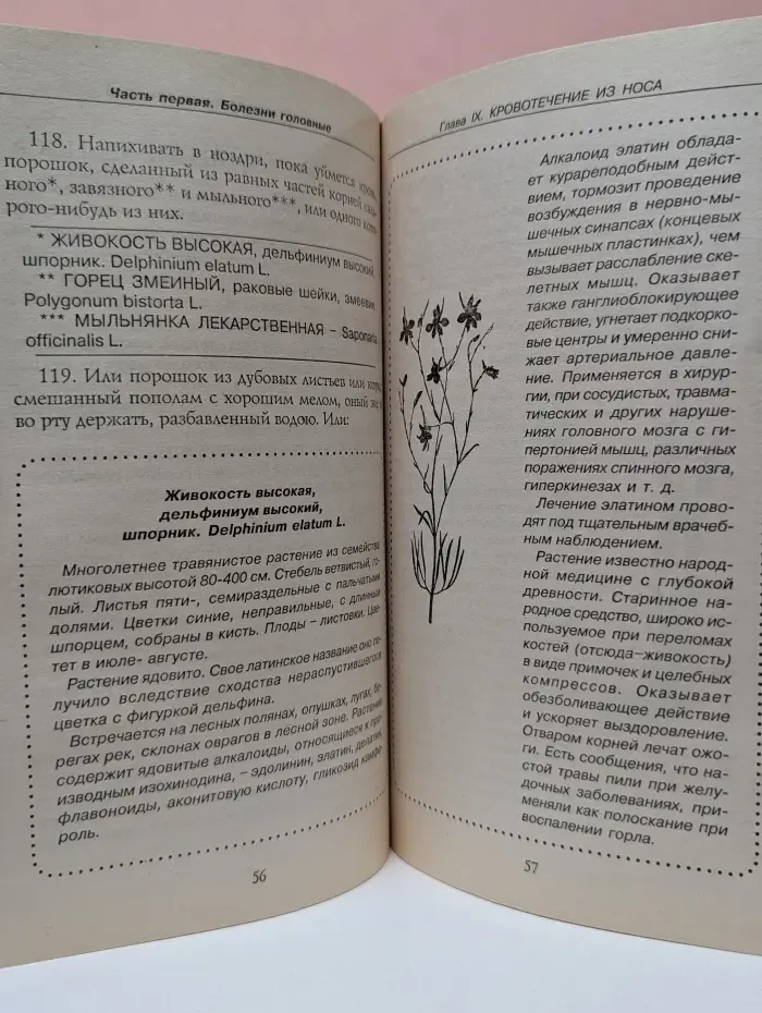 Предупреждения плюс. Полный настоящий простонародный российский лечебник Феликса Лоевского. Выпуск № 1/13/2003