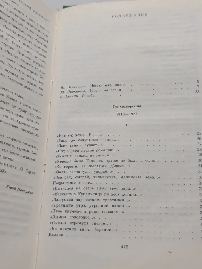 Сергей Есенин. Собрание сочинений в 2 томах. Том 1