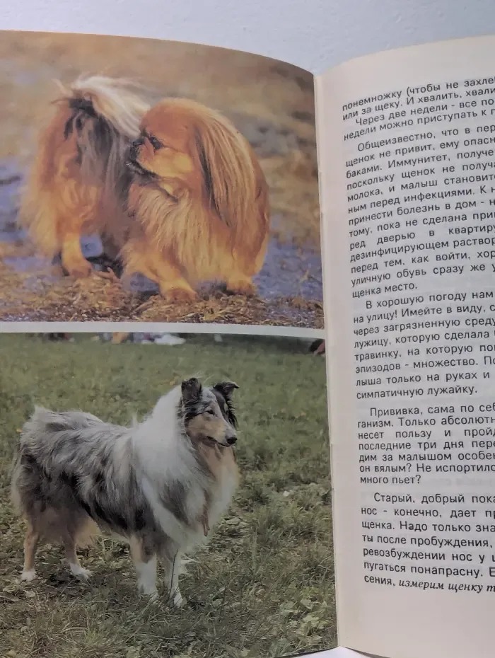 Почти все о собаках. Часть 1
