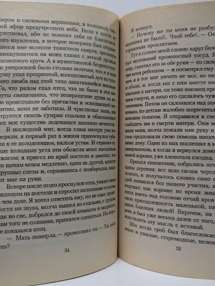 Петер Каменцинд