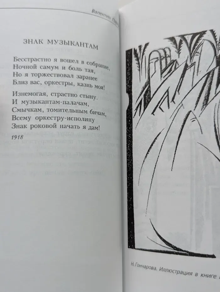 Жирафовидный истукан. 50 стихотворений. Переводы. Очерки, статьи, заметки