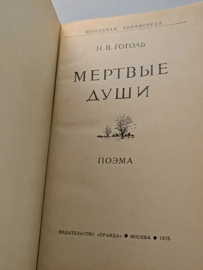 Школьная библиотека. Мертвые души