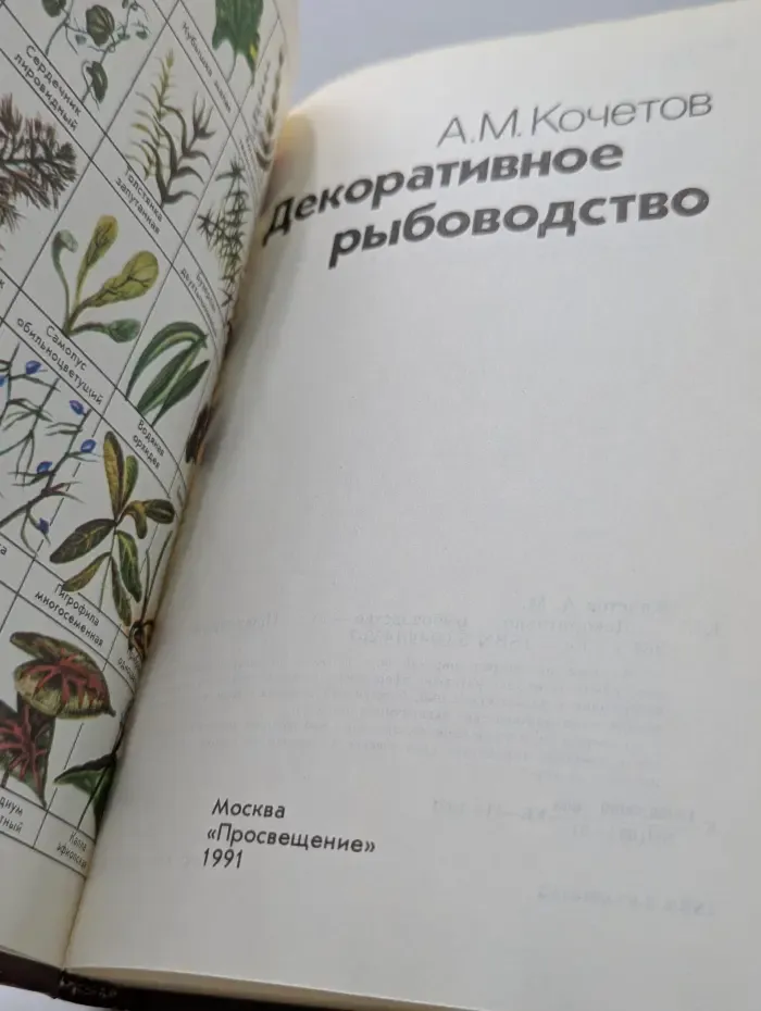 Декоративное рыбоводство