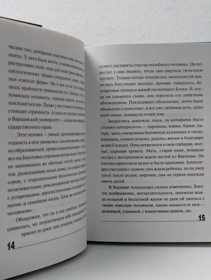 Литературные биографии. Александр Блок и его время