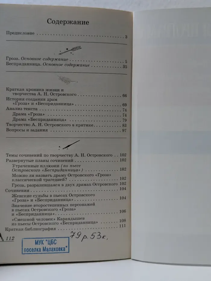 Школьная программа. Островский. Драмы. Анализ текста, основное содержание, сочинения