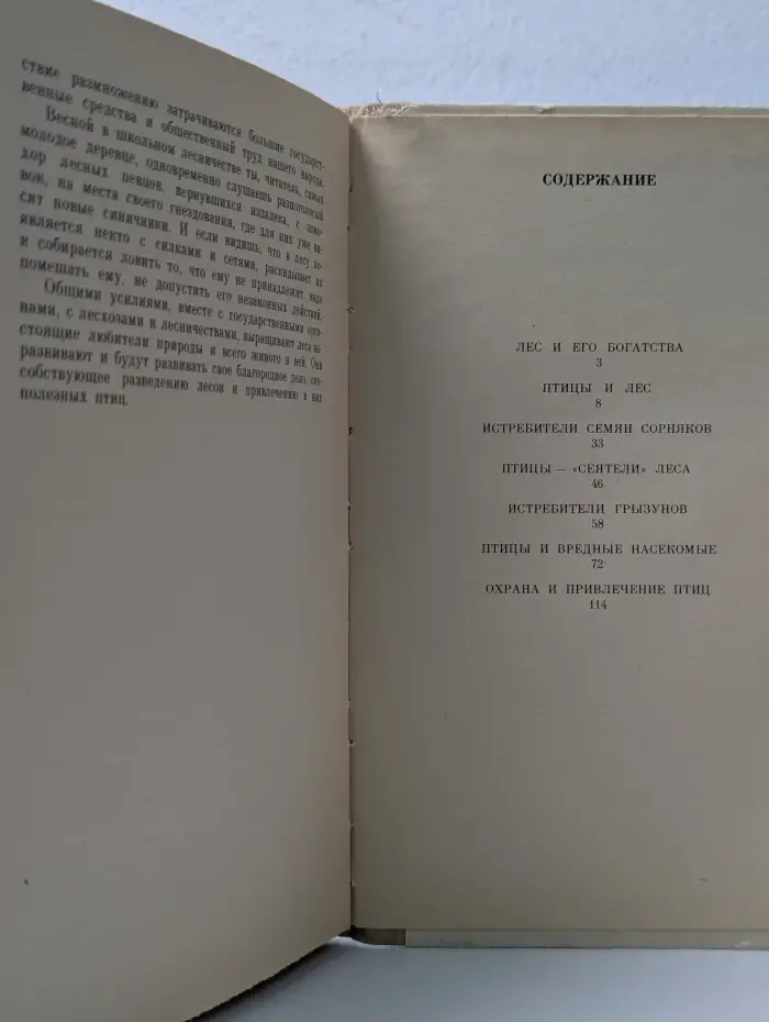 Пернатые друзья лесов
