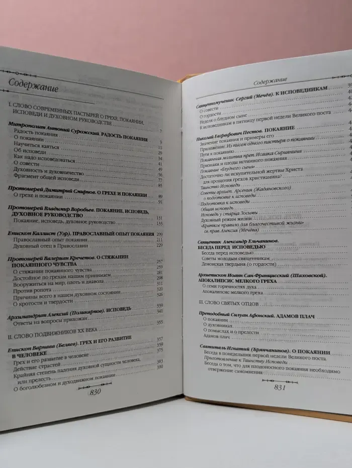 Путь покаяния. Беседы перед исповедью