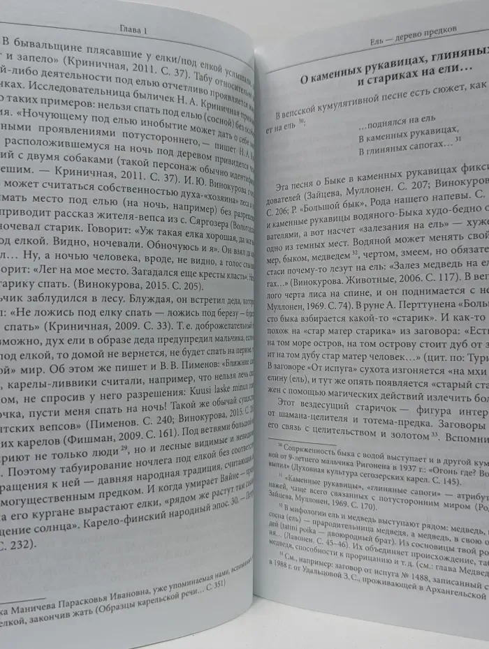Вечнозеленые - вечноживущие. Ель - дерево предков