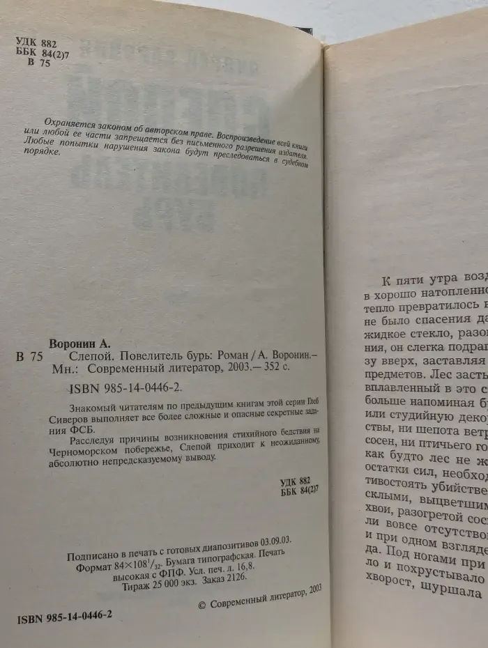 Слепой. Повелитель бурь