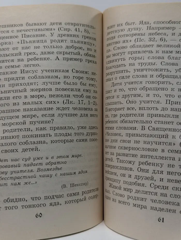 За советом к батюшке. Детское счастье
