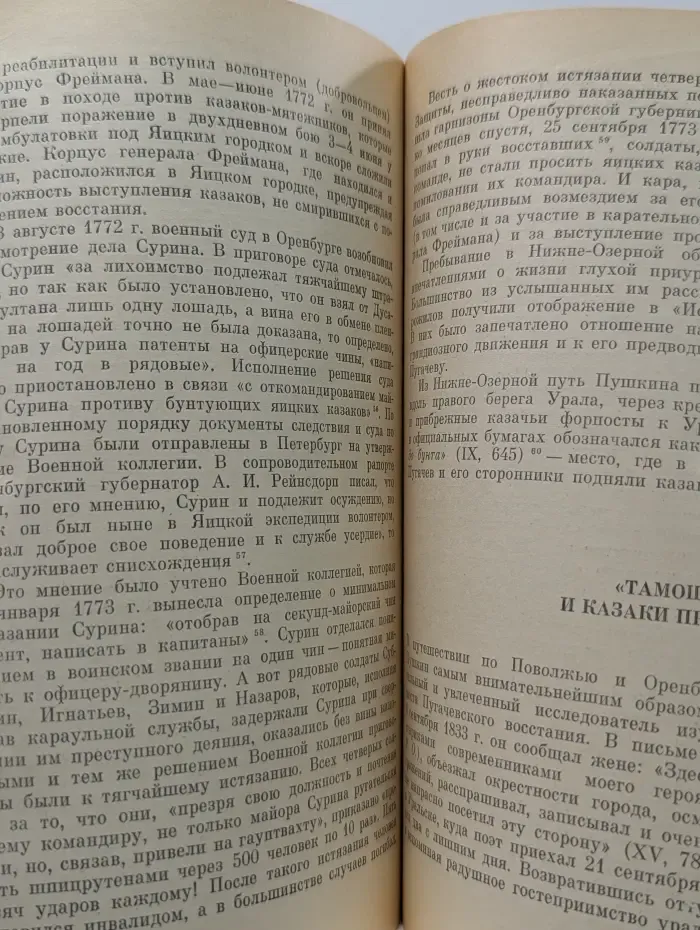 Страницы истории нашей Родины. Над пугачевскими страницами Пушкина