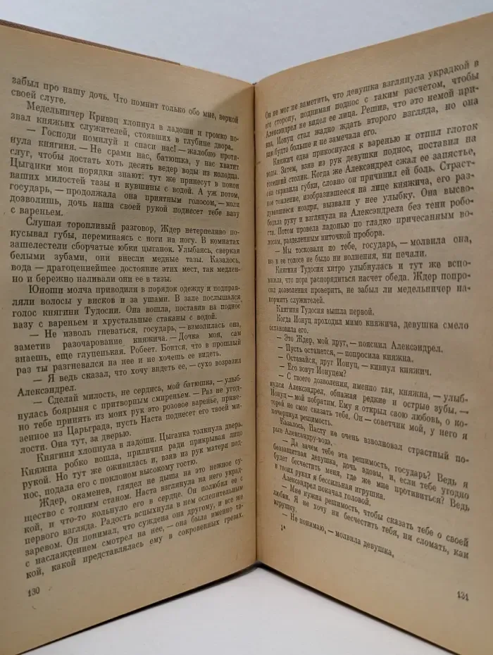 Библиотека исторического романа. Братья Ждер