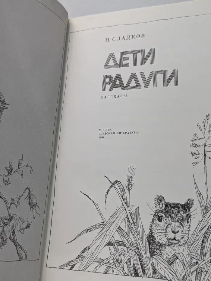 Дети радуги