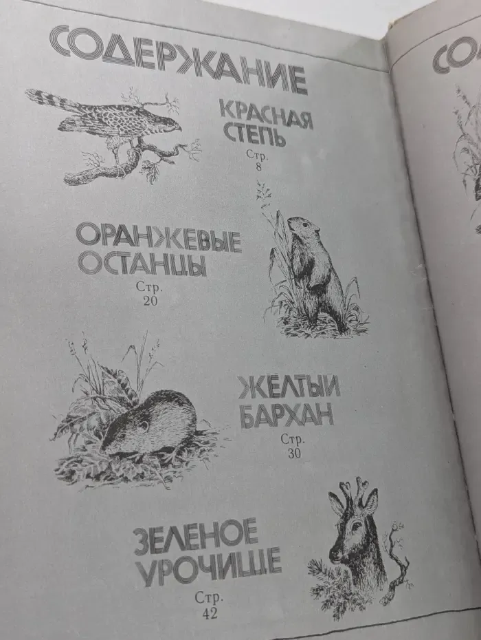 Дети радуги