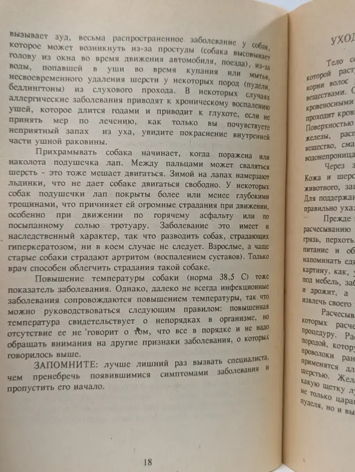 Собака в вашем доме