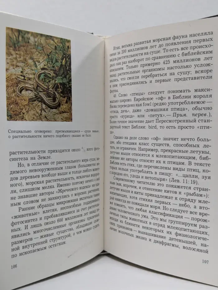 В начале