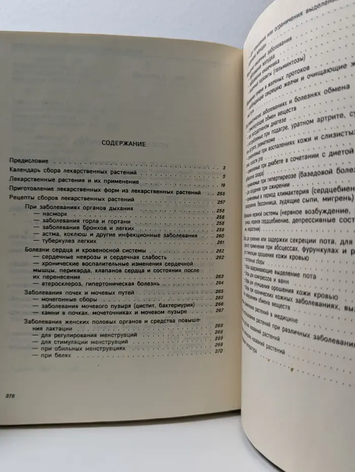 Лекарственные растения в каждом доме