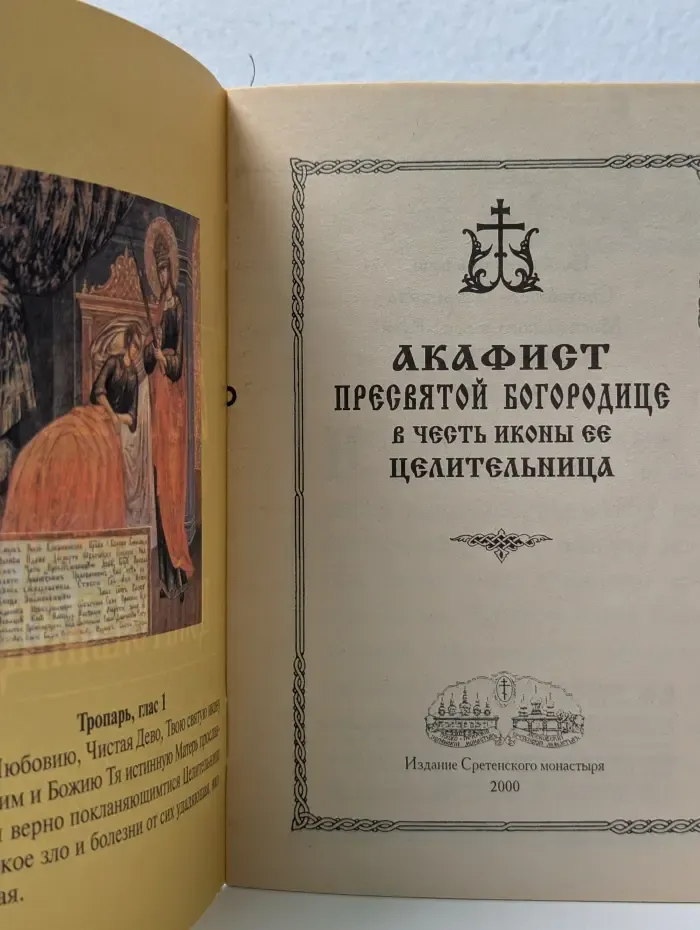 Акафист Пресвятой Богородице в честь иконы ее Целительница