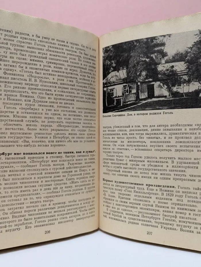 Русская литература. 8 класс. Учебник
