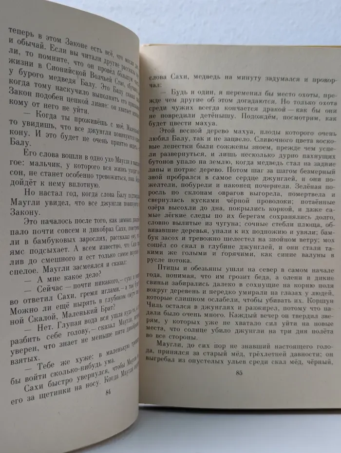 Школьная библиотека. Маугли
