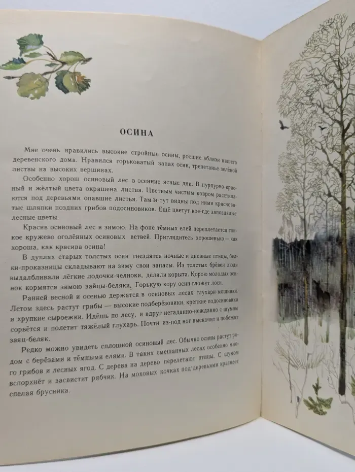 Русский лес