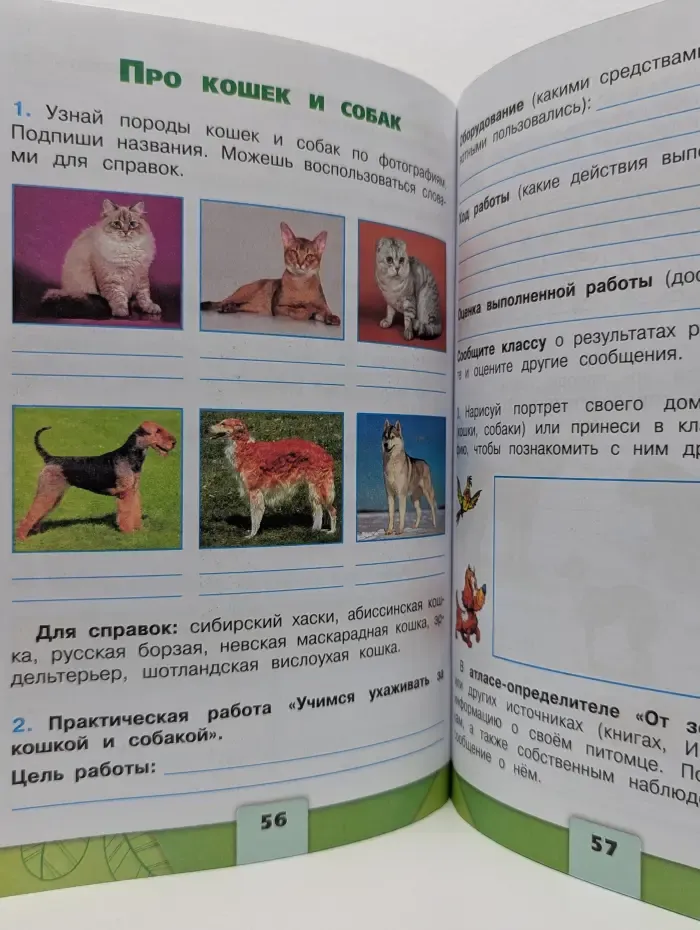 Школа России. Окружающий мир. Рабочая тетрадь. 2 класс. Часть 1