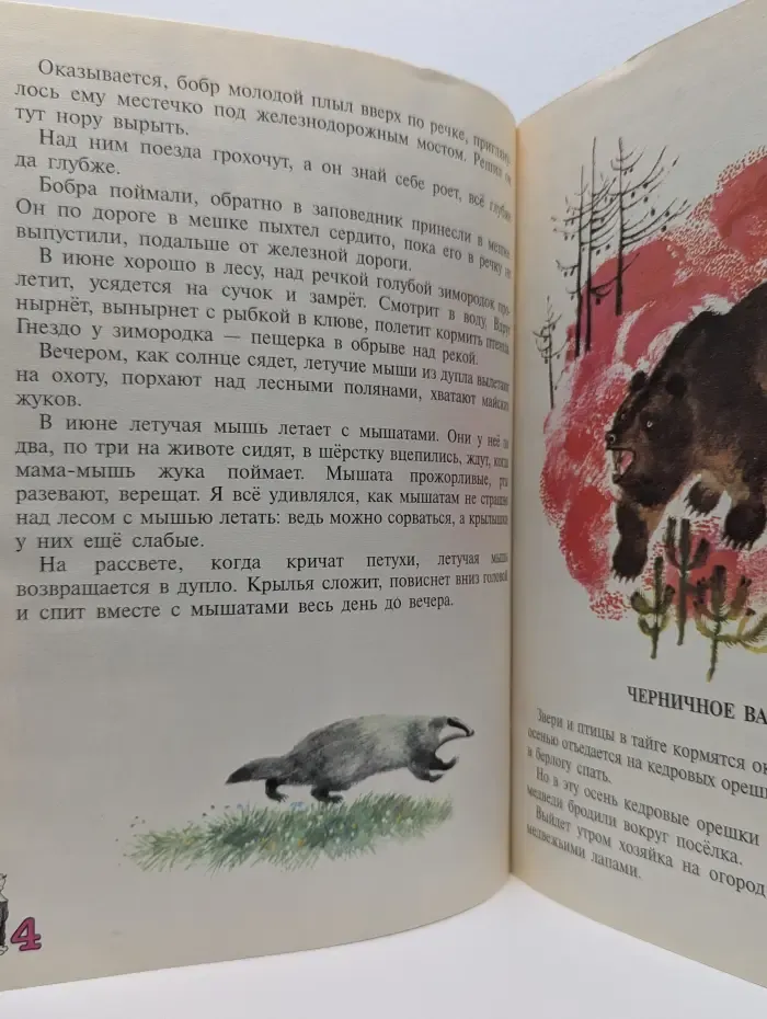 Домик осьминога