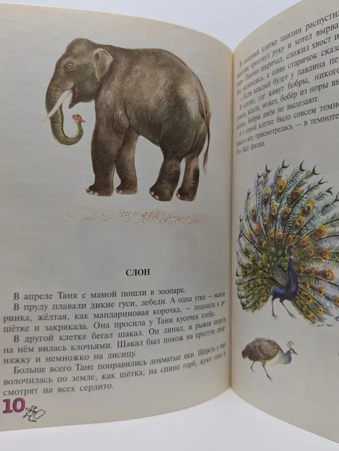 Для самых маленьких. Домик осьминога