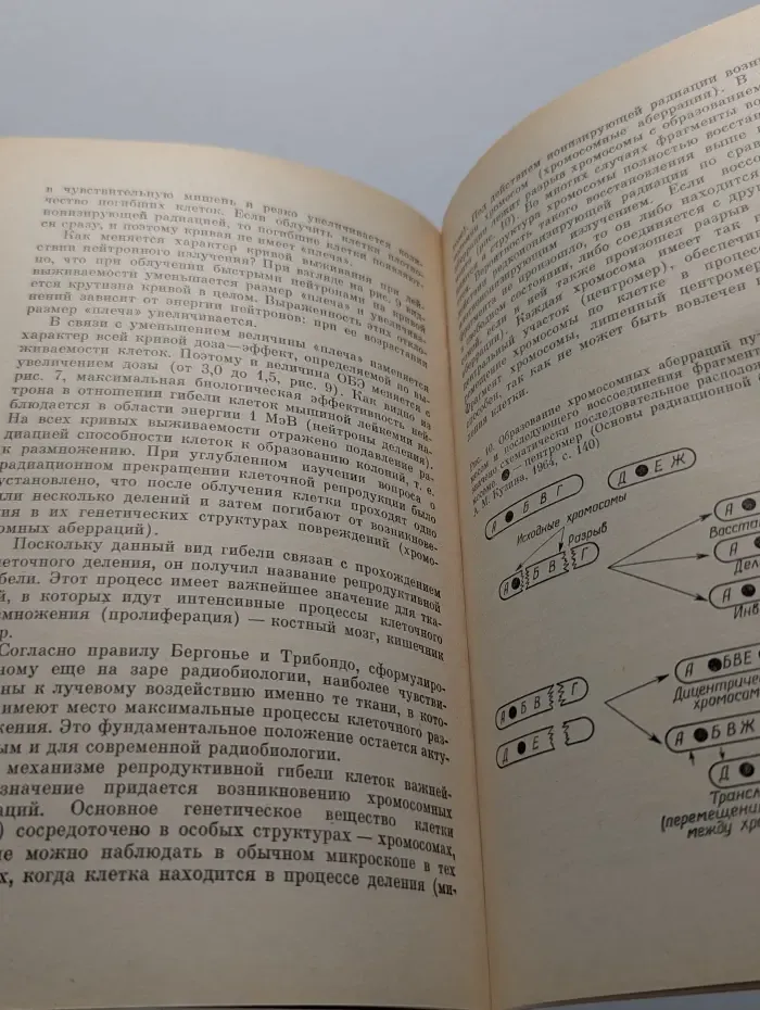 Народный университет. Естественнонаучный факультет. Мирные профессии нейтронов