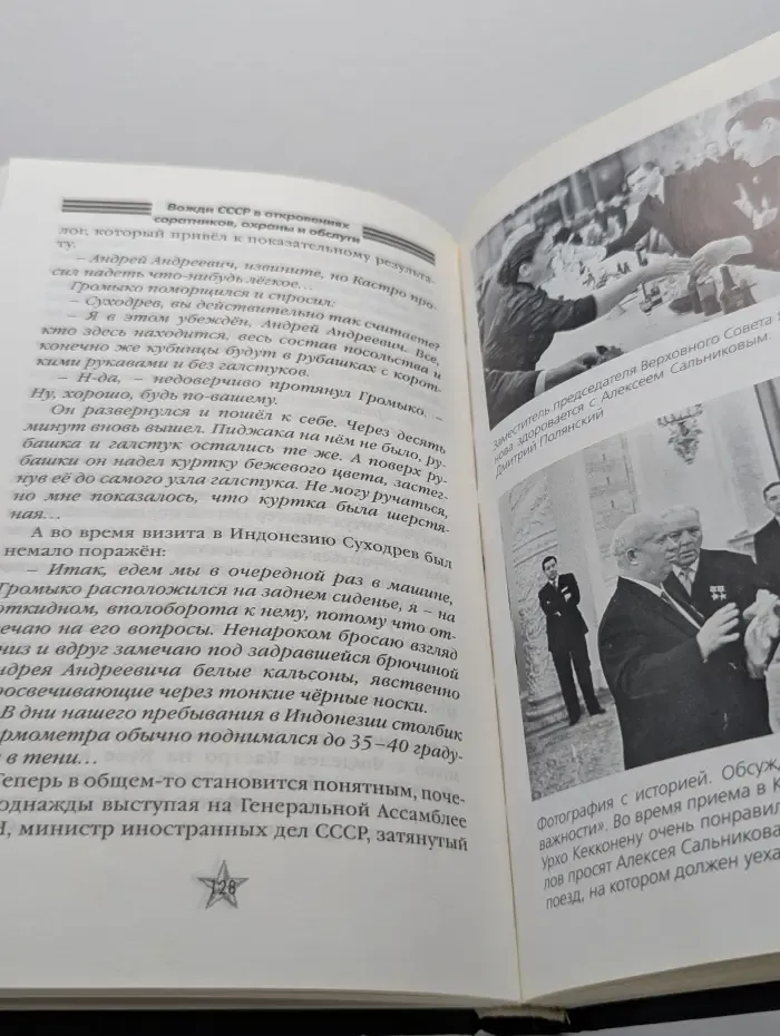 Черные страницы истории. Вожди СССР в откровениях соратников, охраны и обслуги