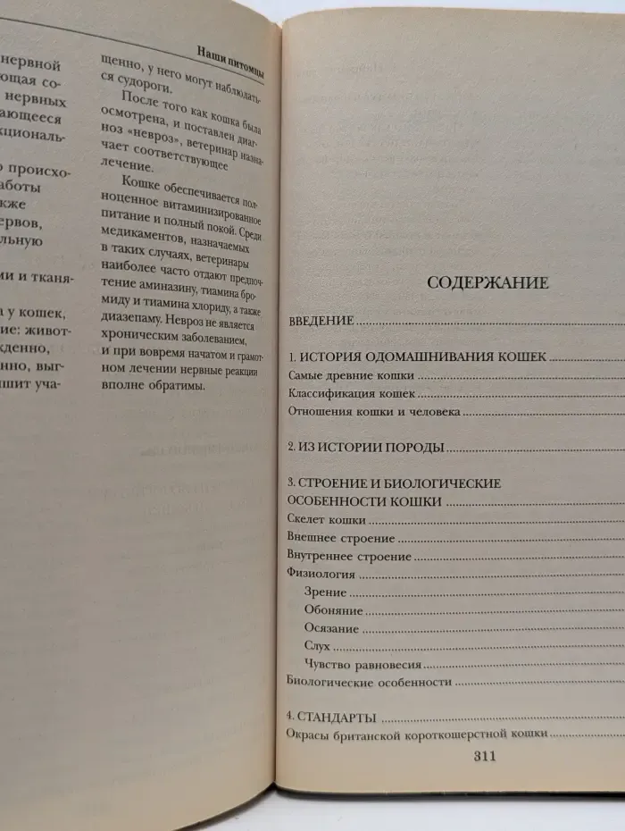 Наши питомцы. Британские короткошерстные кошки