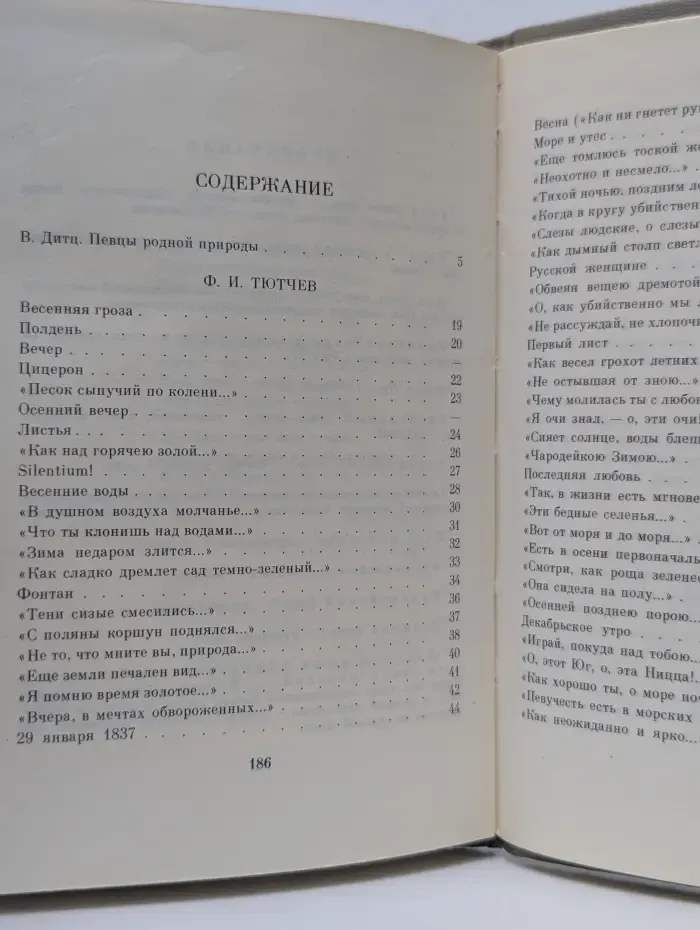 Ф. Тютчев, А. Фет. Стихотворения
