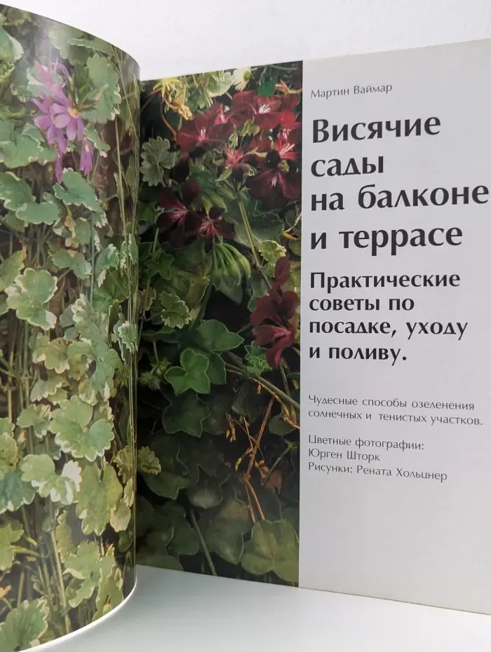 Балконы и террасы. Висячие сады на балконе и террасе