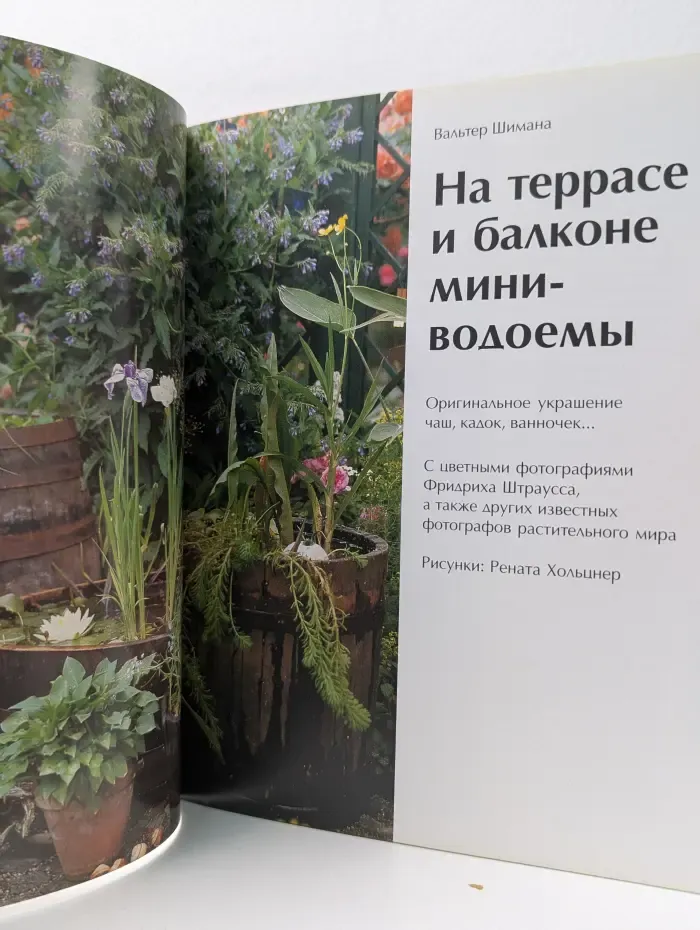 Балконы и террасы. Мини-водоемы на балконе и террасе